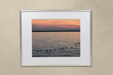 Load image into Gallery viewer, FAB 04 - Geese at Sunset
