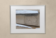 Load image into Gallery viewer, FAB 36 - Stone Cold Buffalo
