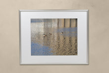 Load image into Gallery viewer, FAB 46 - Ducks Silo Reflection
