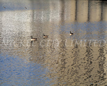 Load image into Gallery viewer, FAB 46 - Ducks Silo Reflection
