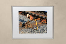 Load image into Gallery viewer, FAB 49 - Rail Switch
