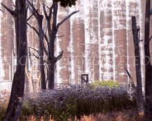 Load image into Gallery viewer, FAB 54 - Times Beach Silo
