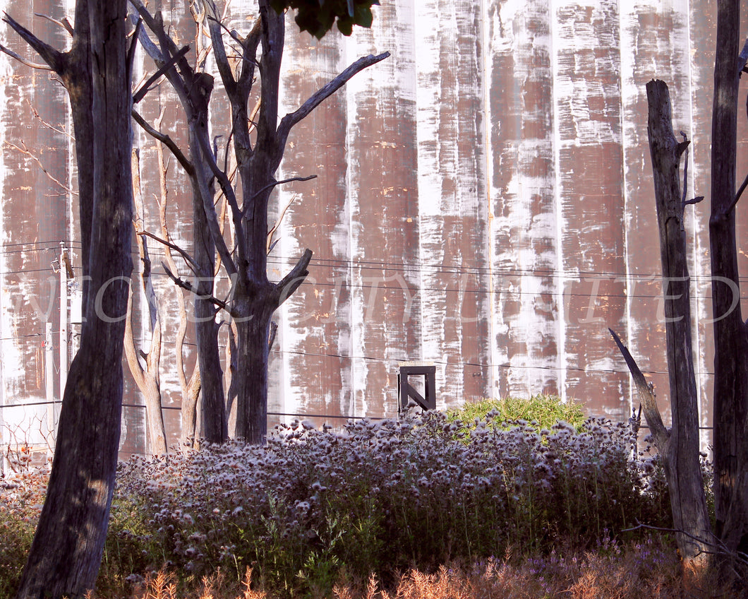 FAB 54 - Times Beach Silo