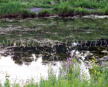 Load image into Gallery viewer, FAB 26 - Impressionist Inlet
