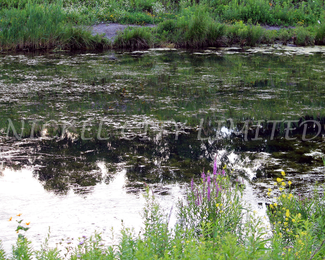 FAB 26 - Impressionist Inlet