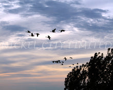 Load image into Gallery viewer, FAB 27 - Night Flight
