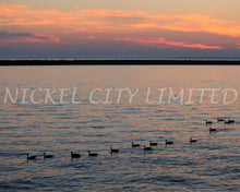 Load image into Gallery viewer, FAB 04 - Geese at Sunset
