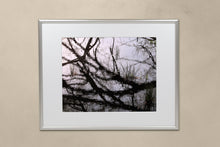 Load image into Gallery viewer, FAB 60 - Branch Water Grass
