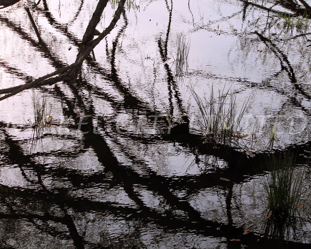 FAB 60 - Branch Water Grass