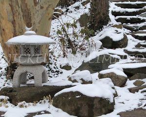 FAB 57 - Japanese Garden Snow